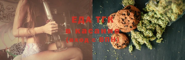 ГАЛЛЮЦИНОГЕННЫЕ ГРИБЫ Аркадак