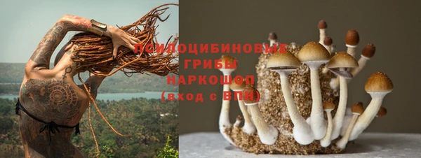 ГАЛЛЮЦИНОГЕННЫЕ ГРИБЫ Аркадак