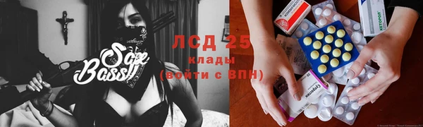 ГАЛЛЮЦИНОГЕННЫЕ ГРИБЫ Аркадак