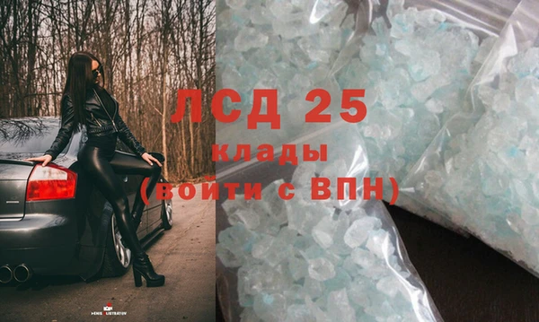 ГАЛЛЮЦИНОГЕННЫЕ ГРИБЫ Аркадак