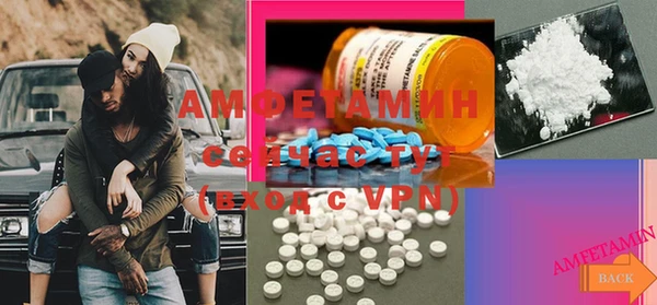 ГАЛЛЮЦИНОГЕННЫЕ ГРИБЫ Аркадак
