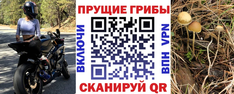 Псилоцибиновые грибы GOLDEN TEACHER  Поронайск 